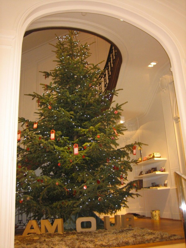 Présentation saisonnière de sapin de Noël dans étalage festif